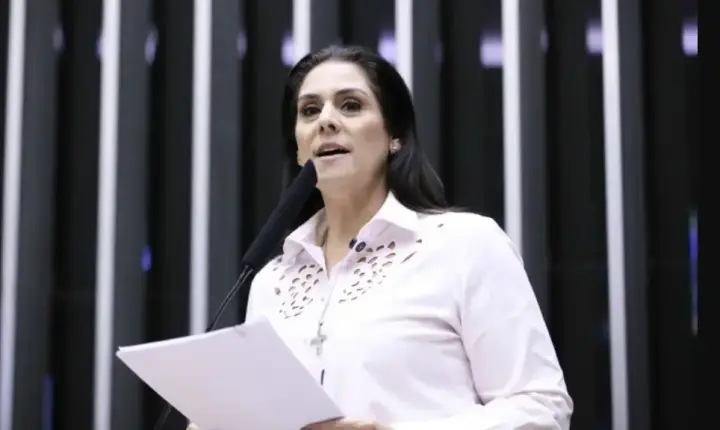 Flávio se reúne com deputada cotada como vice de chapa