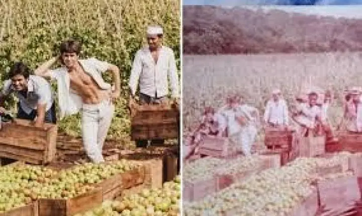 Foto de Leandro e Leonardo com o pai em fazenda de tomate comove fãs em Goiás