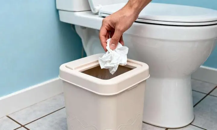 Jogar papel higiênico na privada? Veja 5 motivos para não fazer isso