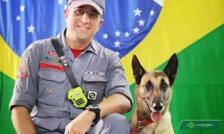 Morre a cadela Hope, heroína que marcou a história dos resgates no Brasil e no mundo
