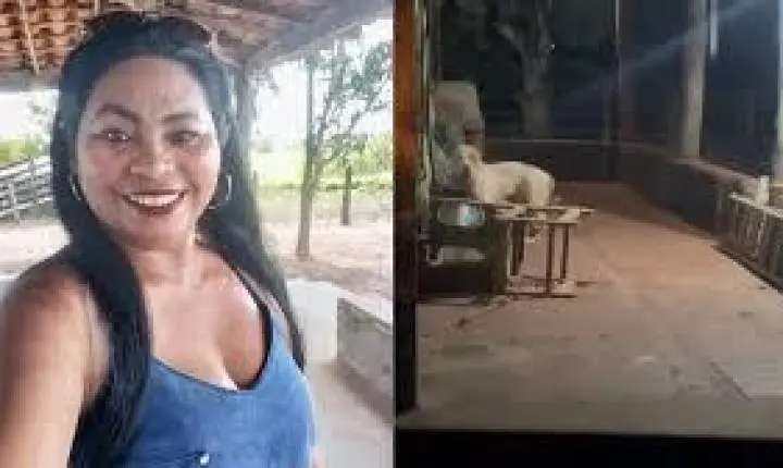 Mulher morre após ser atacada pelo próprio pitbull enquanto dava banho no animal