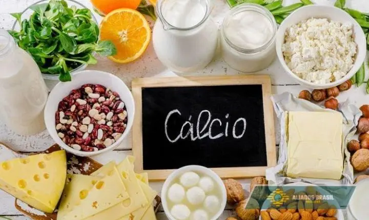 Nem só o leite: conheça 3 alimentos ricos em cálcio que ajudam a fortalecer os ossos