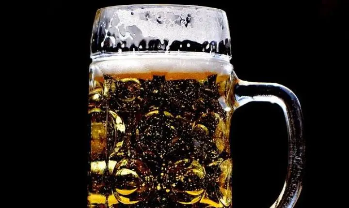 O que a cerveja tem que seu cérebro precisa? Estudo alemão revela surpresa