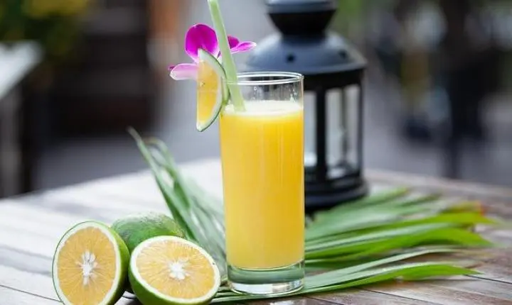 O que a ciência diz sobre o suco de limão: estudos listam 10 benefícios para a saúde