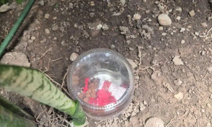 Objeto de feitiçaria é achado no gabinete de Magno Malta. Veja imagens