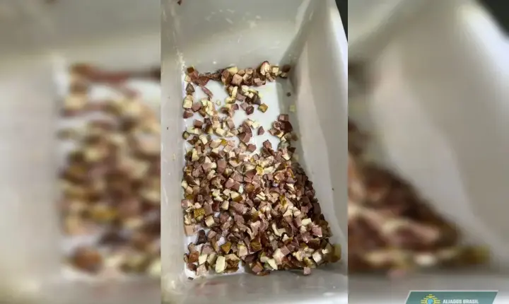 Pizzaria faturava R$ 10 mil por dia com venda de comida estragada