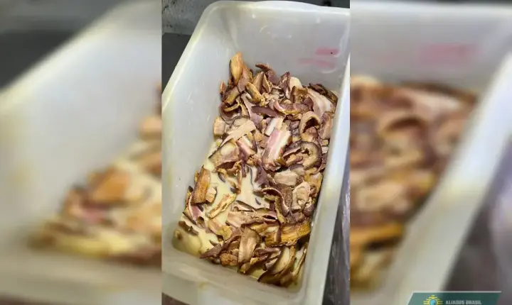 Pizzaria faturava R$ 10 mil por dia com venda de comida estragada