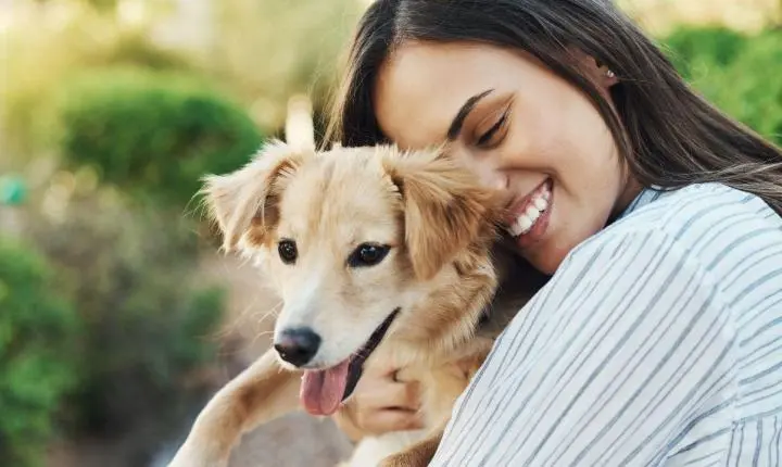 Quanto tempo vive um cachorro? Descubra de acordo com a raça