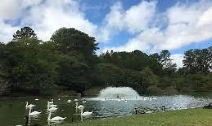 Mistério no RS: sobe para 29 o número de animais encontrados mortos em zoológico