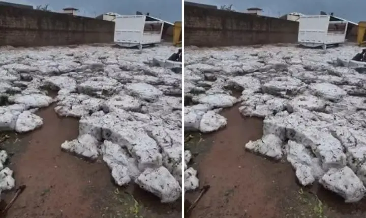Temporal na região de Ribeirão Preto provoca destruição, falta de energia e morte