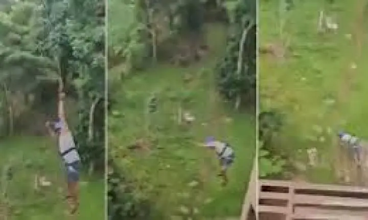 Turista despenca de tirolesa após trava de segurança romper, mas sobrevive