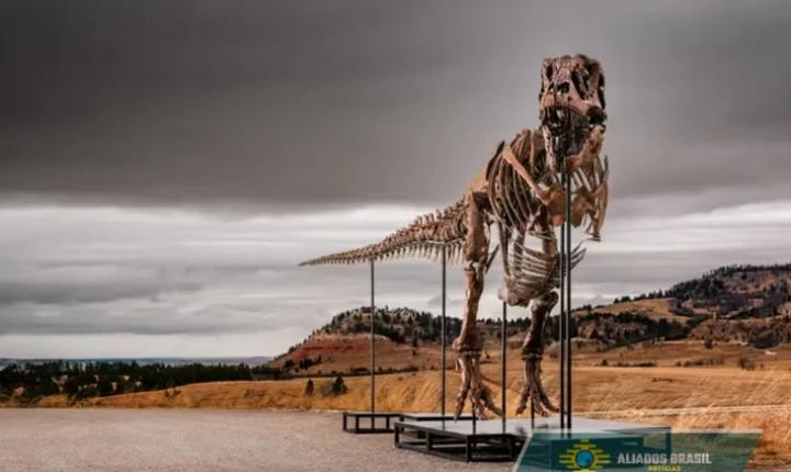 Valor de fóssil de dinossauro bate recorde em leilão em Nova York
