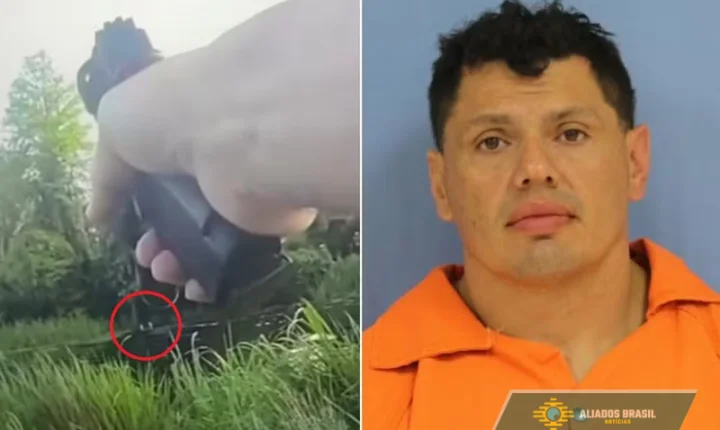 VÍDEO: Homem foge da polícia acaba sendo 'capturado' por jacaré em pântano