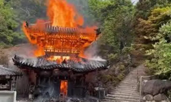 VÍDEO: Templo budista que abrigava 'chama eterna' pega fogo no Japão
